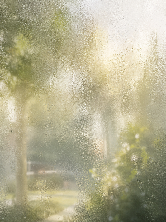 Pale Haze | Fragrance Oil | Exclusive House Blend